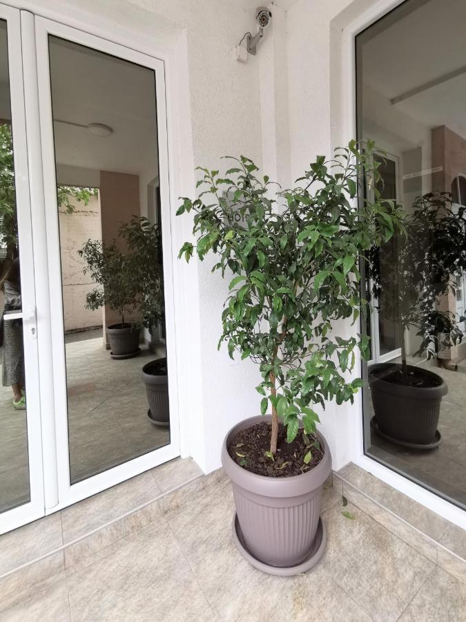 Hotel Suzana Budva Eksteriør bilde